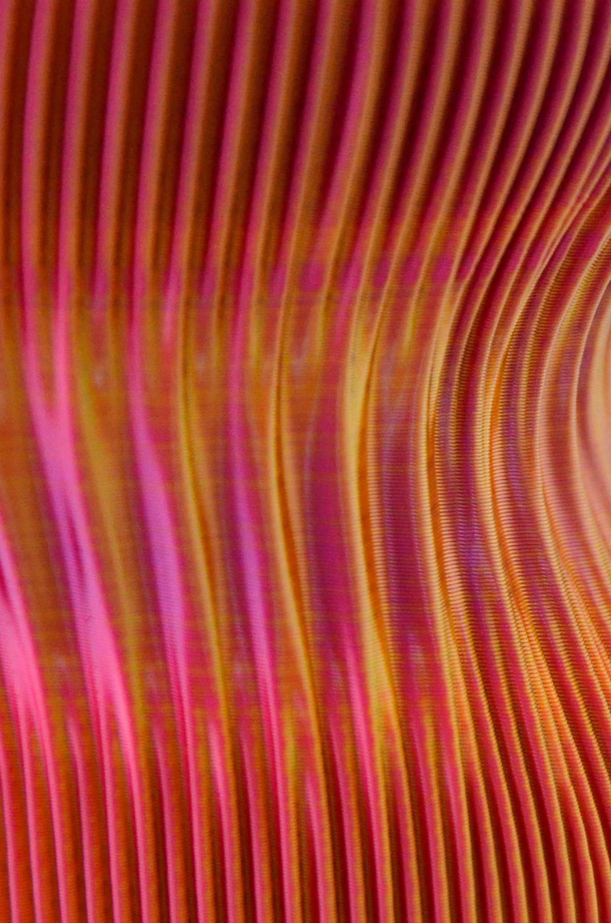 Vase Kiya - Rose/Orange