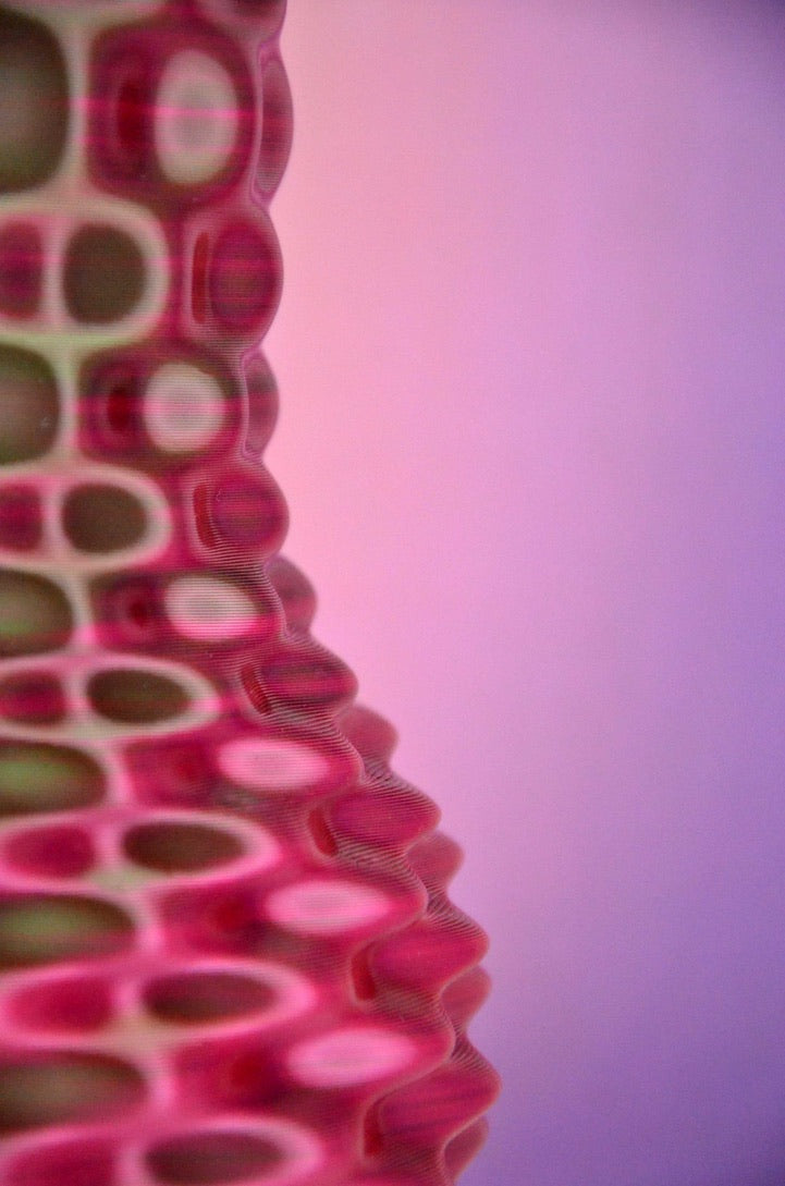 Vase Hypno - Rose/Vert